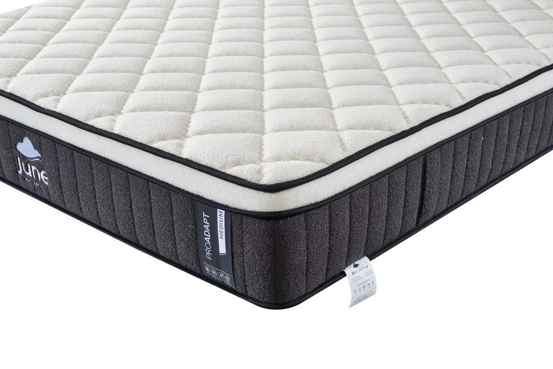 June Pro-Adapt Medium