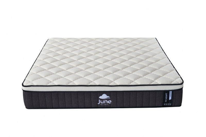 June Pro-Adapt Medium